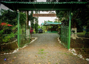 Chepe's Chic Bungalow